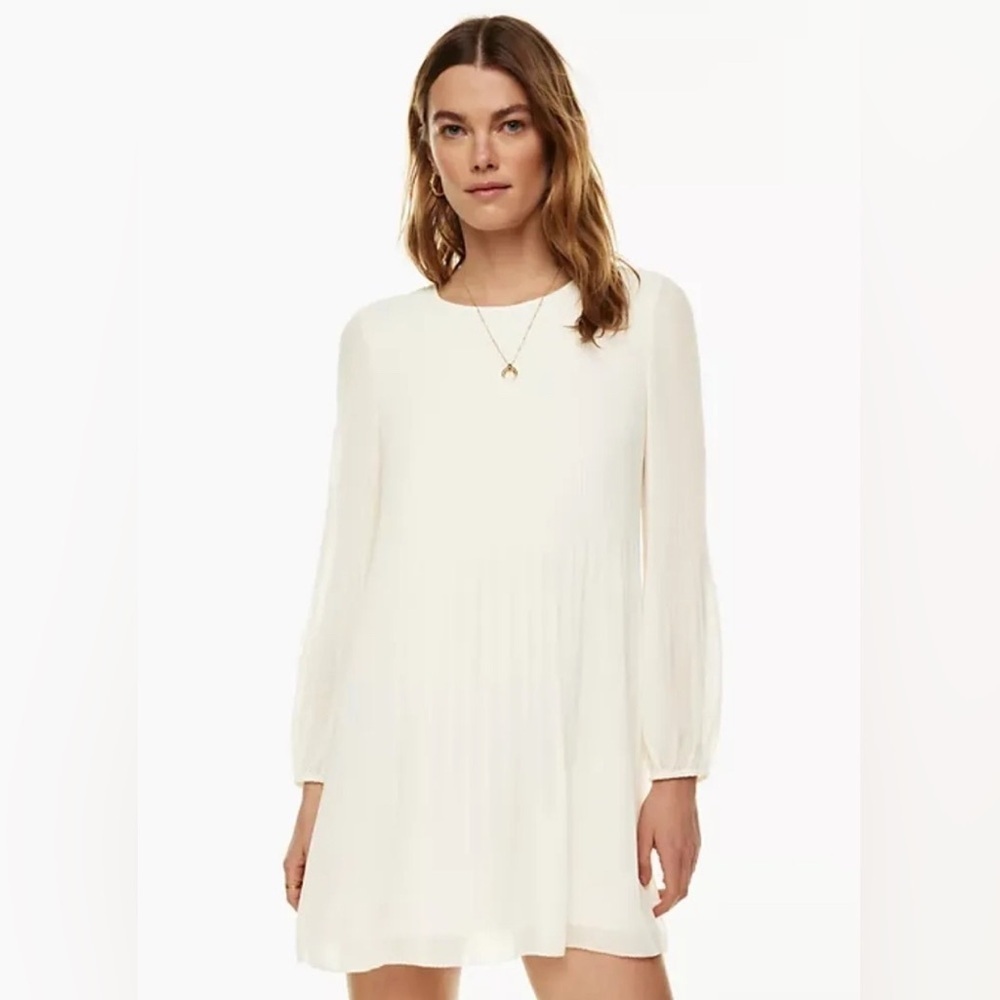Aritzia Wilfred Daydreamer Mini Dress